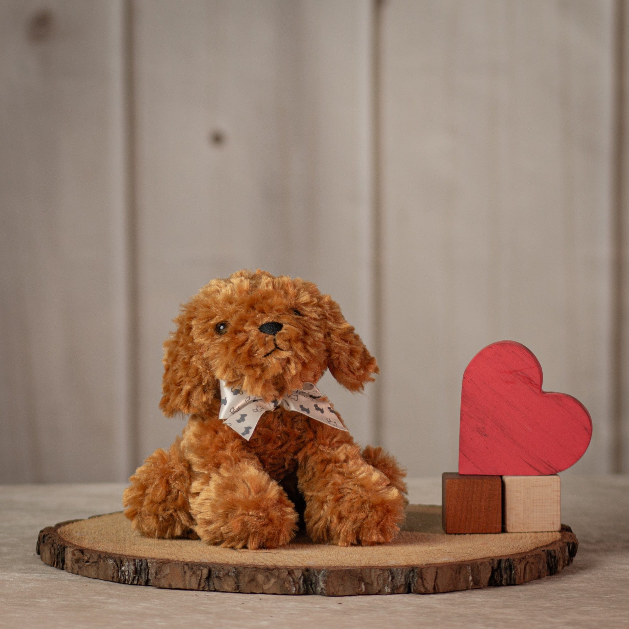 Small sitting brown dog with white bow