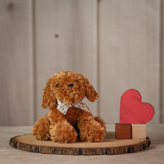 Small sitting brown dog with white bow