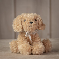 Small sitting beige dog with white bow