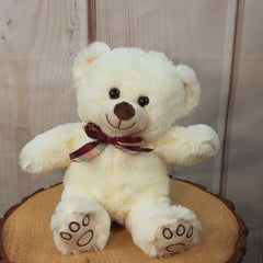13" Paw Print Teddy Trio