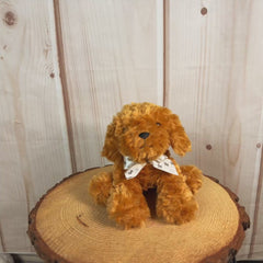 Small sitting brown dog with white bow