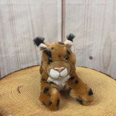 8" Cute & Small Wildcat