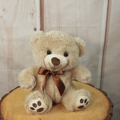 9" Sitting Cozy Bear Classics