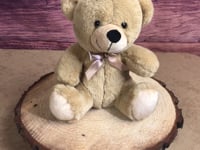 9" Sandcastle Beige Colorama Plus+ Bear