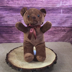 14" Sewn Eye Hug Bear