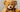 Fun Facts -The Healing Power of Teddy Bears