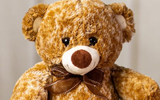 Fun Facts -The Healing Power of Teddy Bears