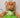 The Spotlight is on Dance Bear Gifts