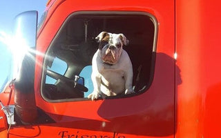 The Spotlight is on Frisard’s Trucking