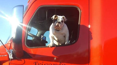 The Spotlight is on Frisard’s Trucking