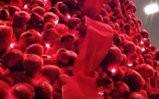 Ogilvy Turns Colorama Bears into Holiday Magic