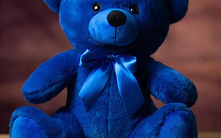 Comfort in Crisis: Why Police Officers Carry Teddy Bears in Their Cars for Kids