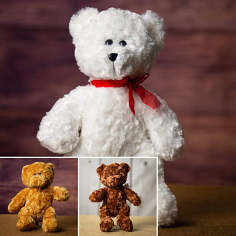 Florist Favorites: Everyday Teddy Bears