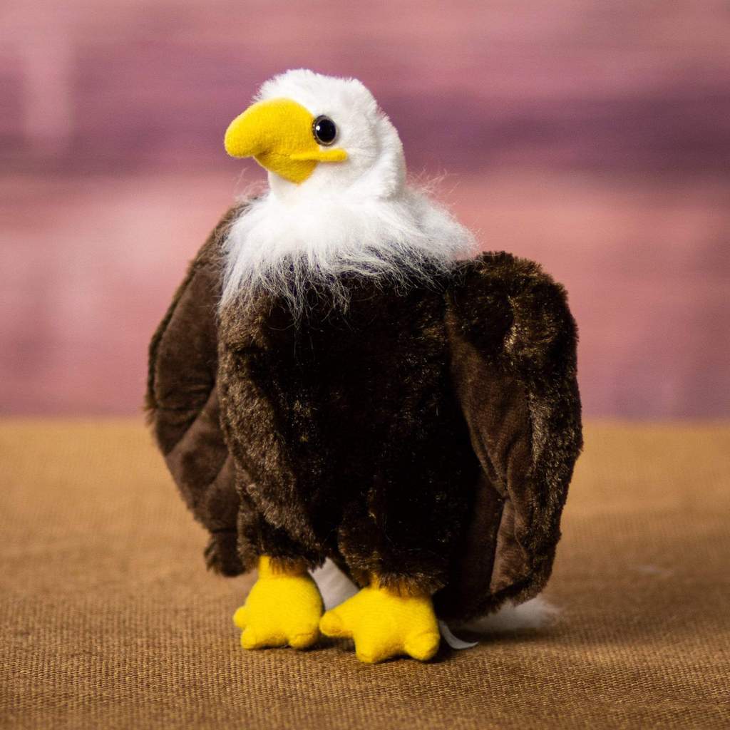 Eagles & Birds