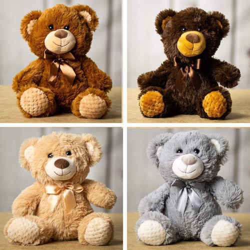 Everyday Teddy Bears Image