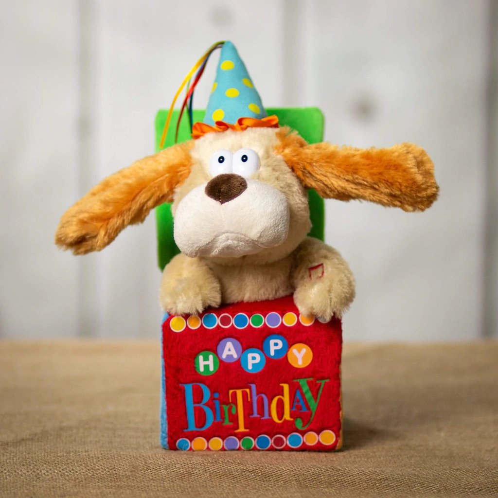 Birthday Plush