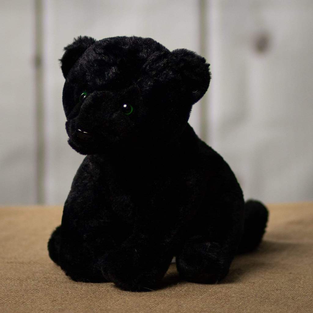 Panthers