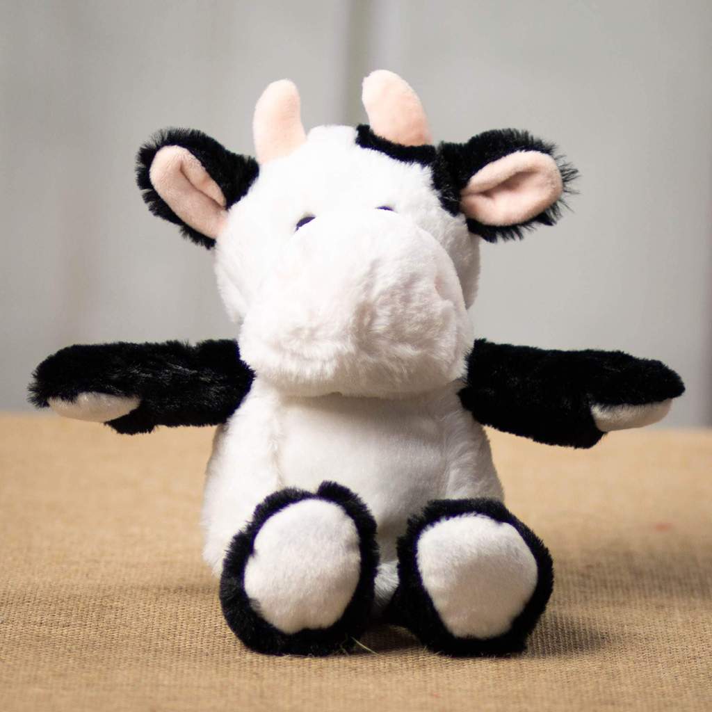 Cows