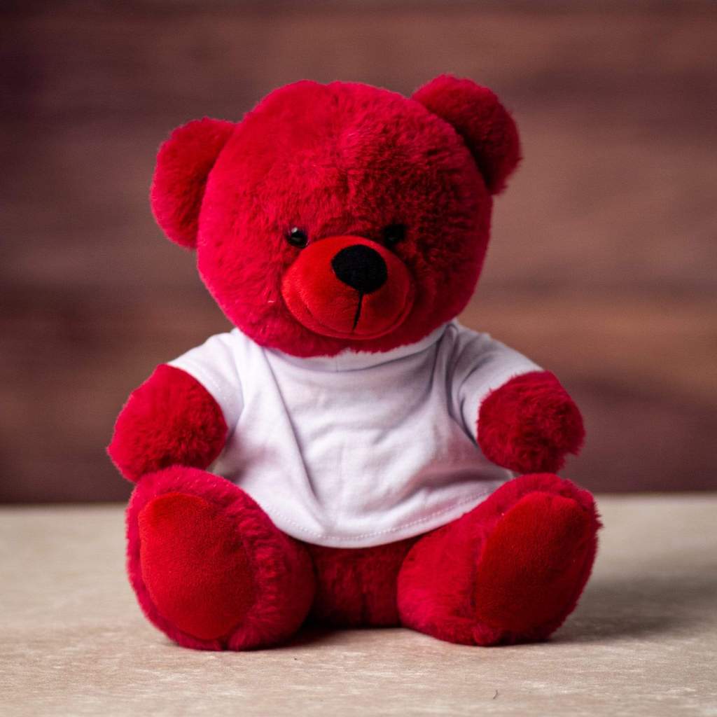 T-Shirt Ready Plush