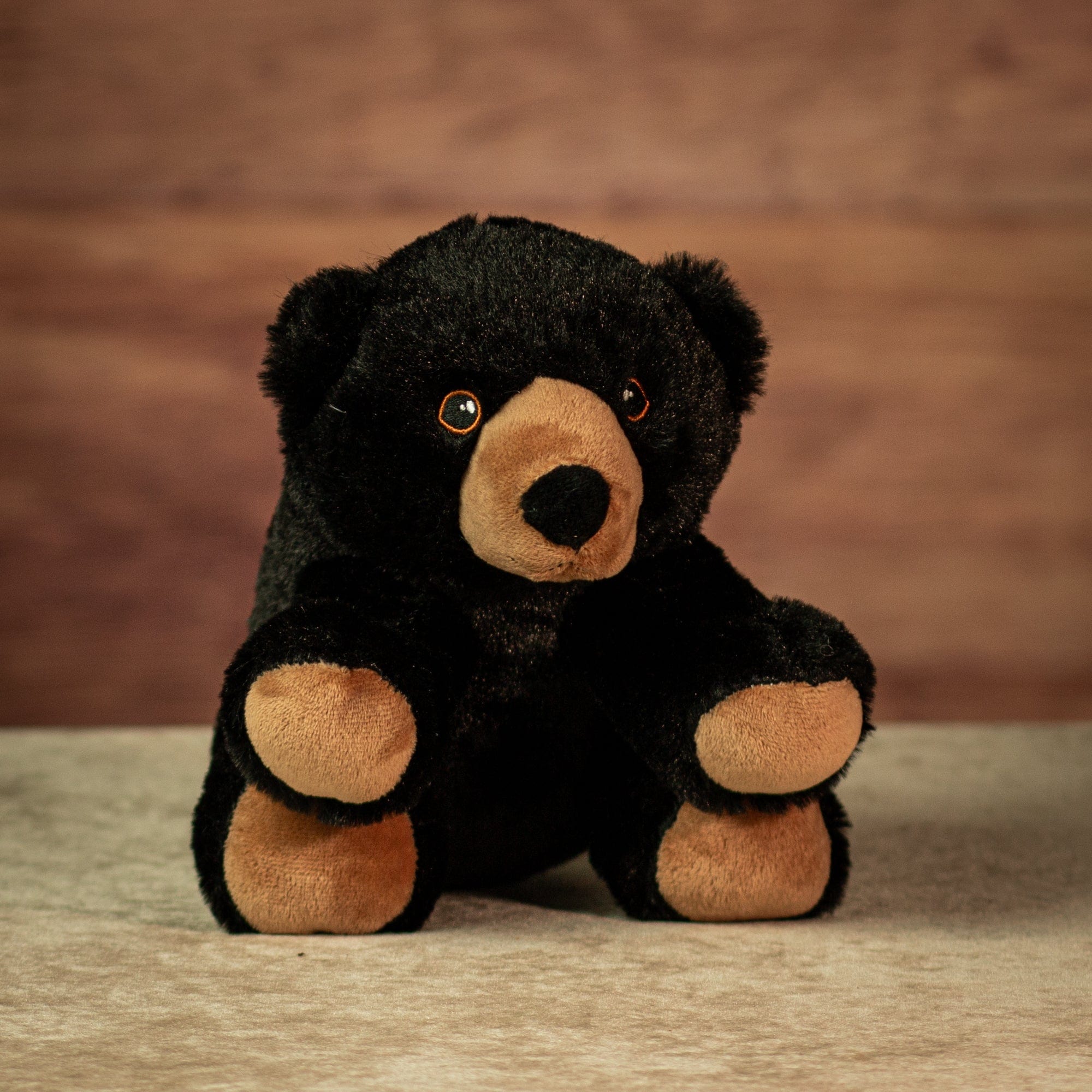10" Sitting Black Timberline Cub
