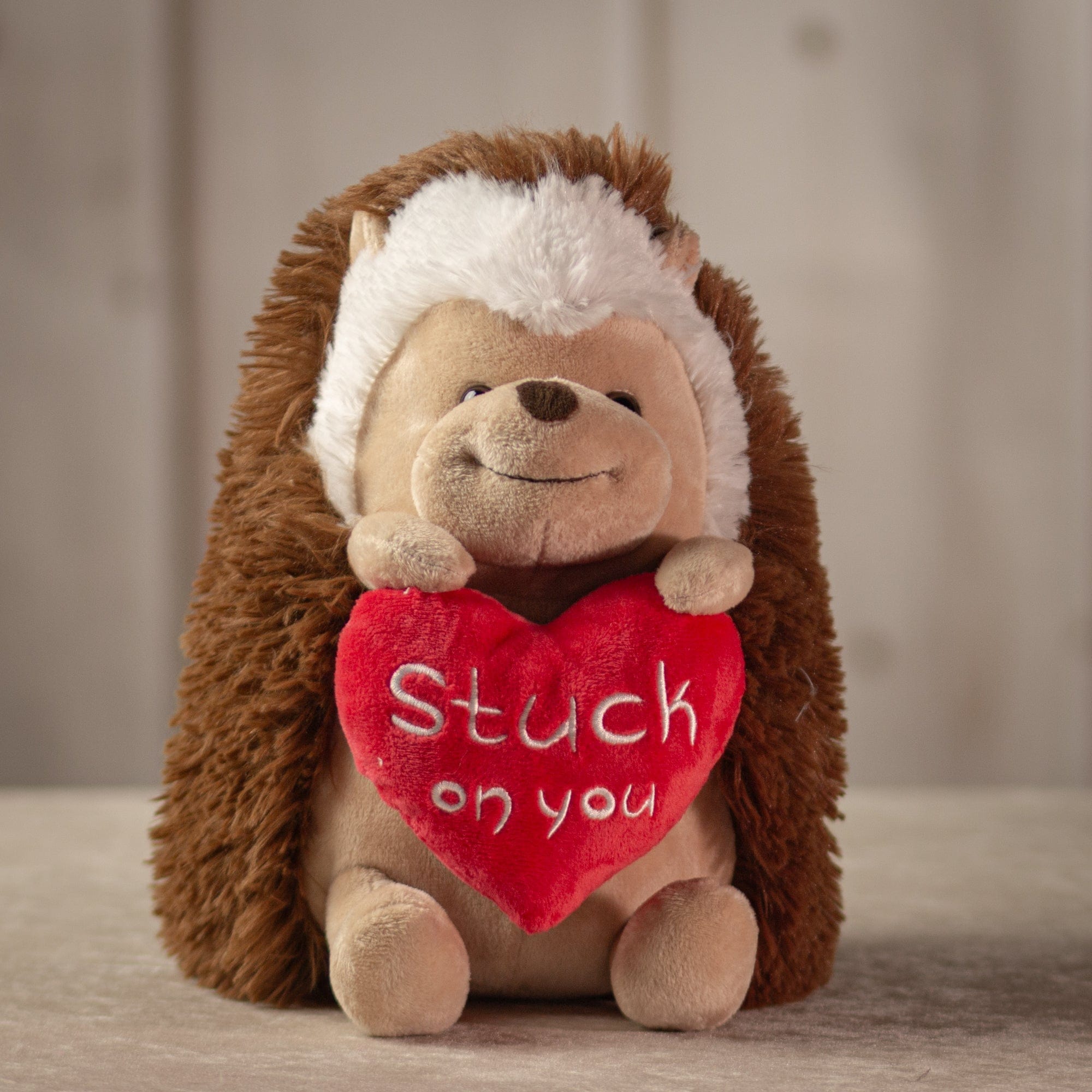 10 inch Valentines hedgehog holding a stuffed heart that says, "Stuck on you."