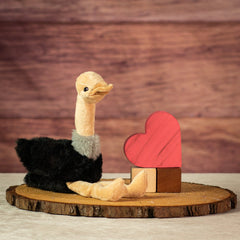 11" Cuddle Longneck Ostrich
