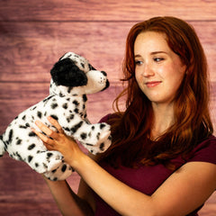 12" Dalmatian