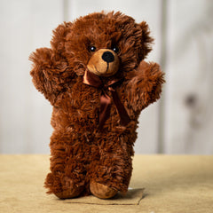 12" Hug Bear Bundle