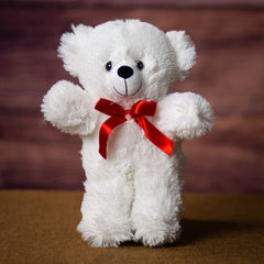 12" Hug Bear Bundle