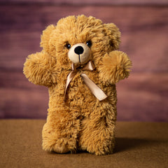 12" Hug Bear Bundle