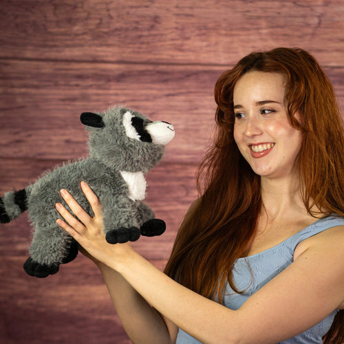 12" Laying Midnight Mask Raccoon