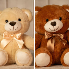 12" Sitting Traditional Teddy Duo