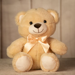 12" Sitting Traditional Teddy Duo