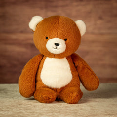 13" Minky Cuddle Bear