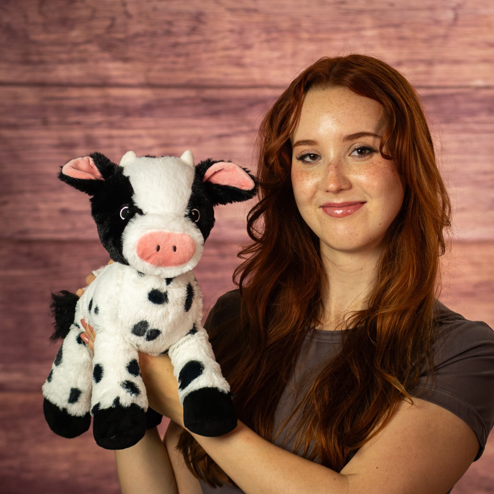 13" Laying Friendly Farm Cow