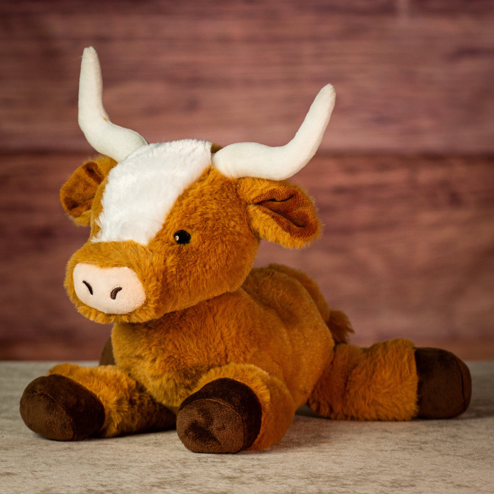 13" Laying Texan Longhorn