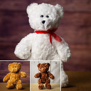 14" Classic Large Chenille Bear Bundle
