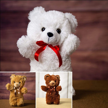 14" Everyday Bear Bunch Bundle