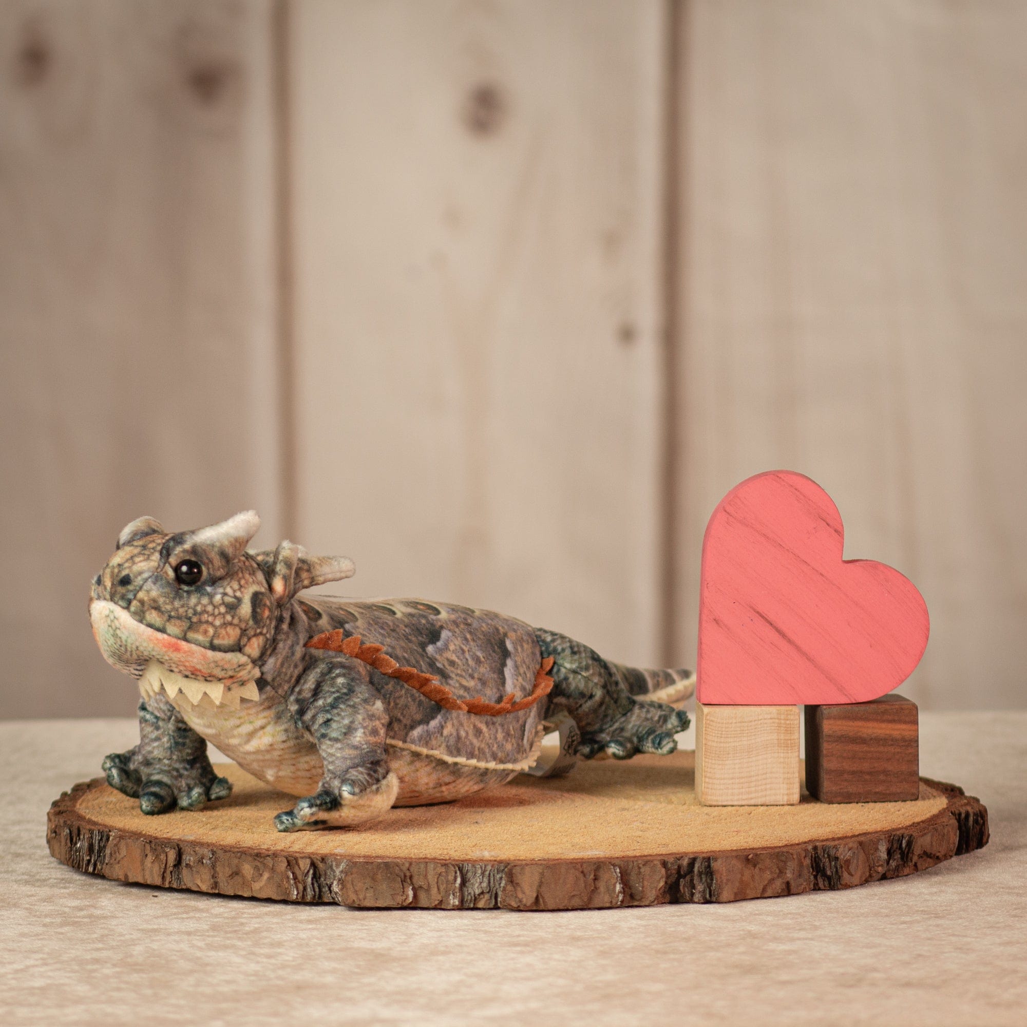 14 inch long horned frog in brown and green