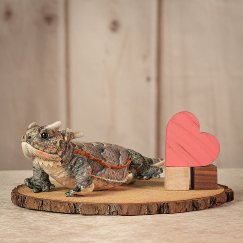 14 inch long horned frog in brown and green