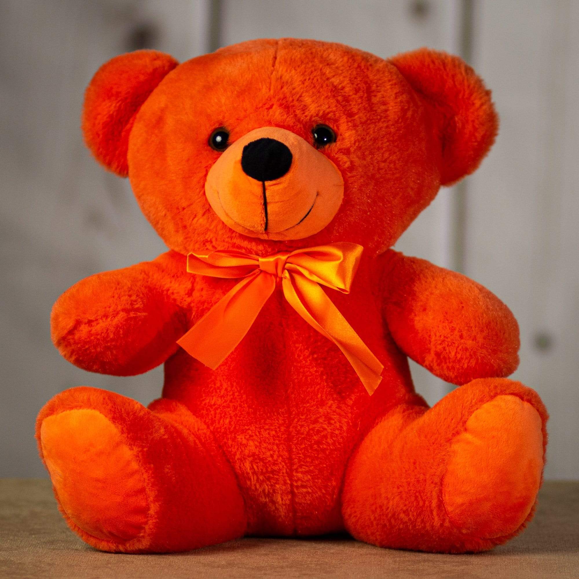 14" Rainbow Colorama Bear XL Variety Pack