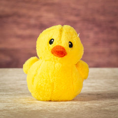 5" Sitting Color Pop Duck Assortment