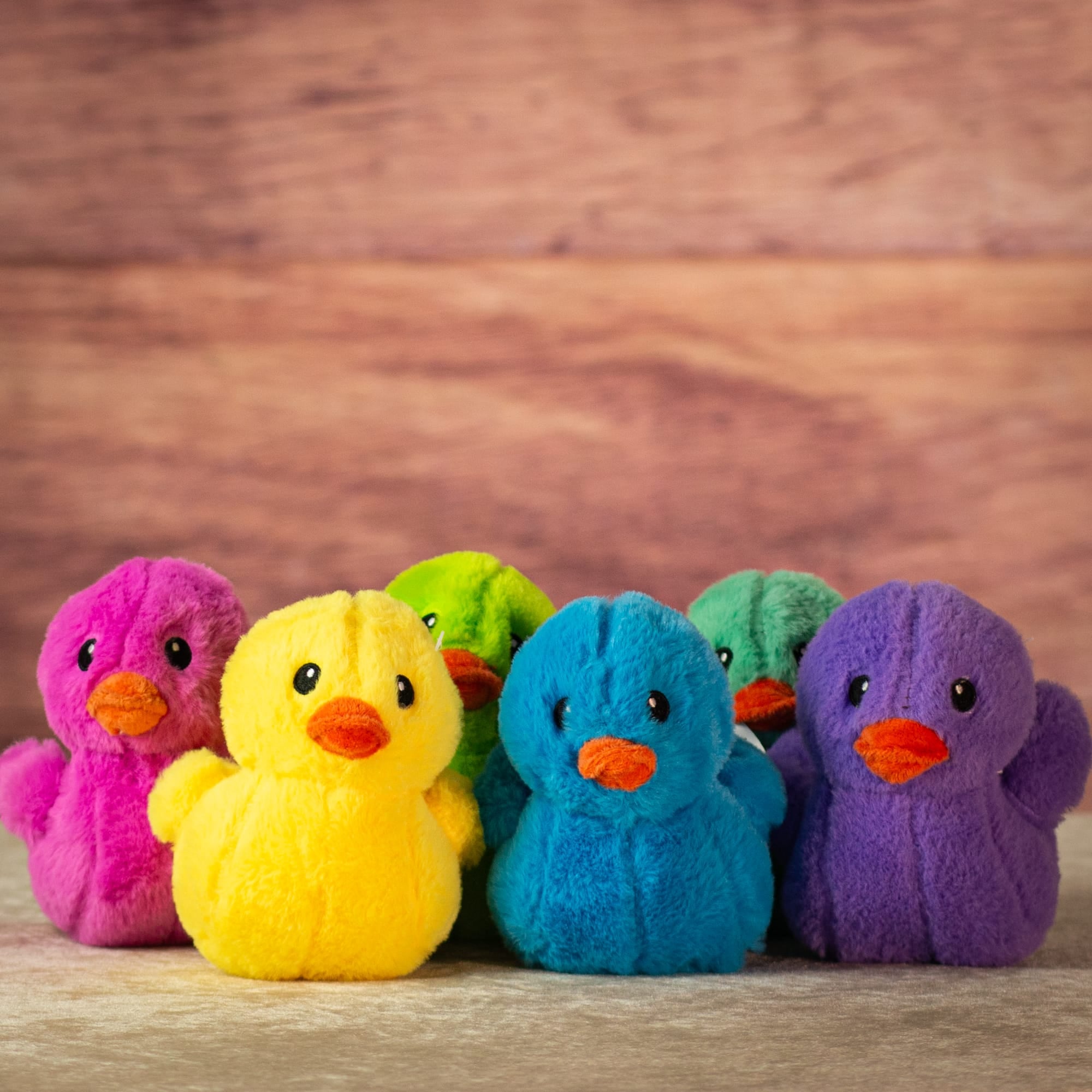 5" Sitting Color Pop Duck Assortment
