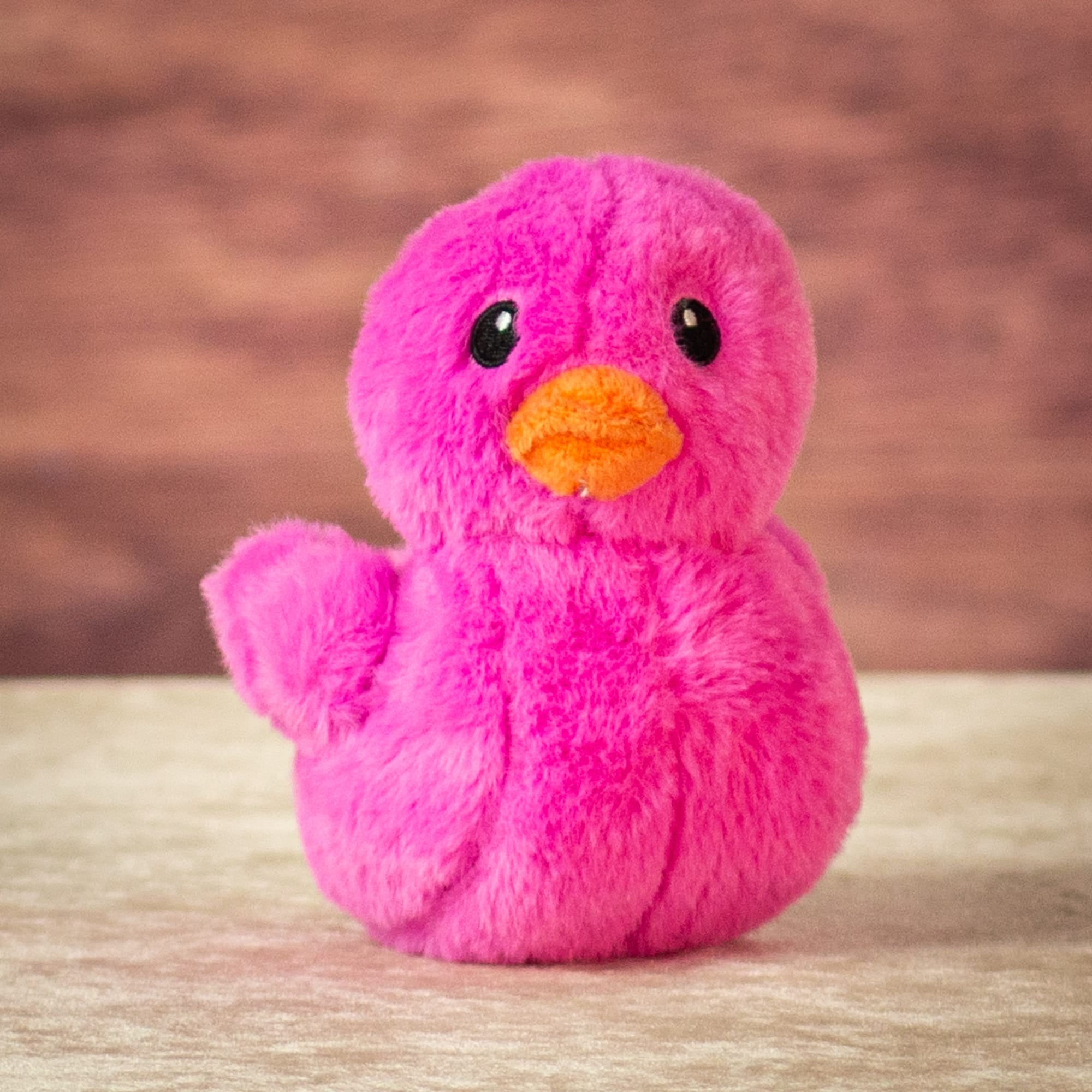 5" Sitting Color Pop Duck Assortment