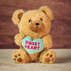 6" Sitting Heart Message Bears