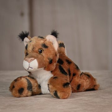 8" Cute & Small Wildcat