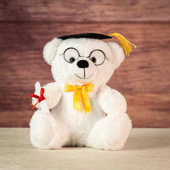 9" Winter White Colorama Grad Bear