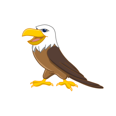 Eagles Image