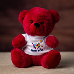 Custom-Printed or Blank T-Shirts for Plush Toys