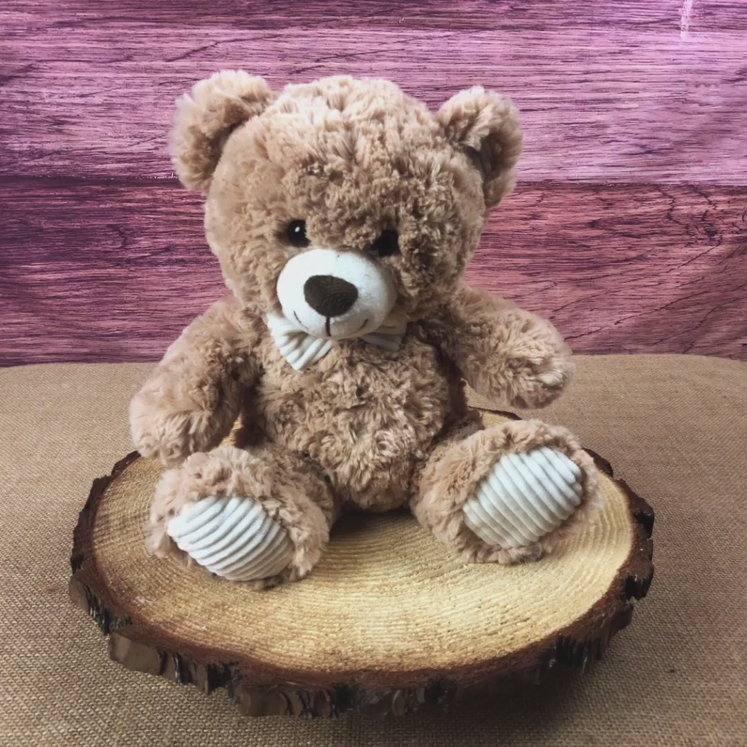 Wholesale Teddy Bears - 10.5